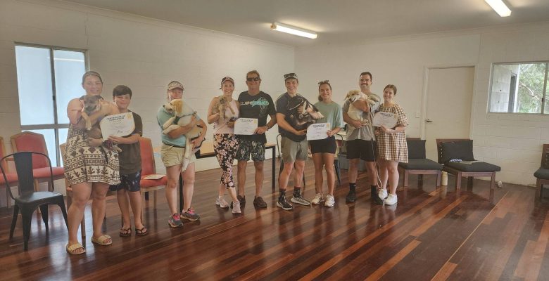 Puppy School Sunshine Coast